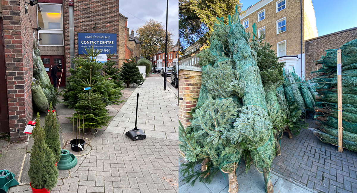 Where to get your Christmas tree in Clapham Best of South West LDN